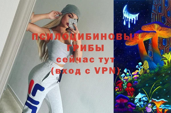 гашик Белокуриха