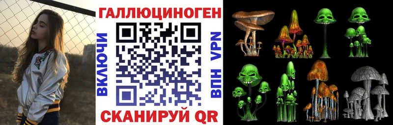 сколько стоит  Видное  Галлюциногенные грибы Psilocybe 