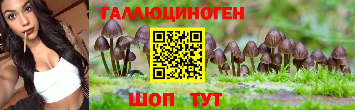 купить закладку  Вход с VPN  Видное  Галлюциногенные грибы мухоморы 