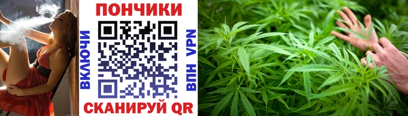 МАРИХУАНА ГИДРОПОН  продажа наркотиков  Видное 
